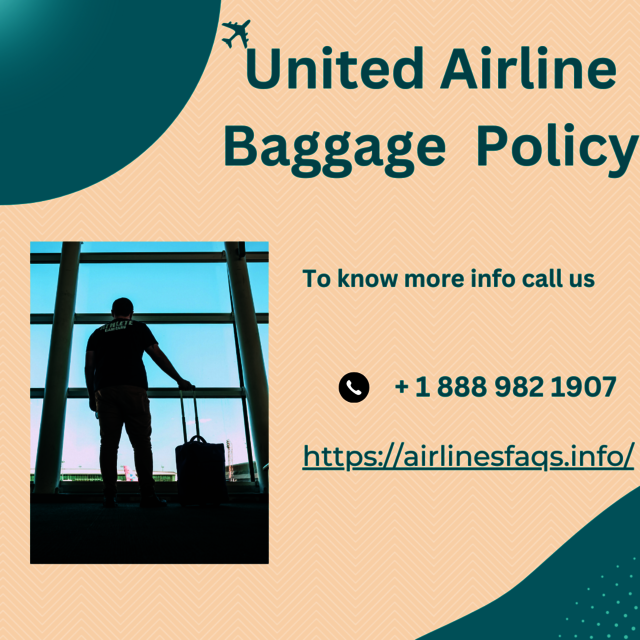 United Airline Baggage Policy Picture Box