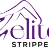 ES Logo - Elite Strippers