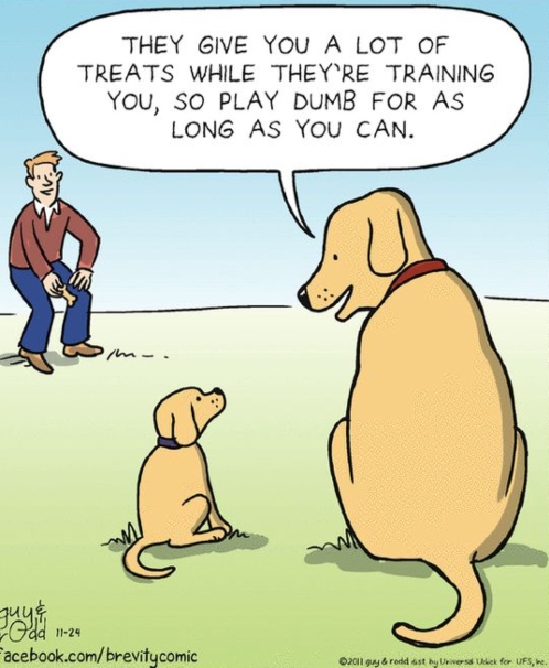 316235830 801807124227418 3572511329497409181 n - 