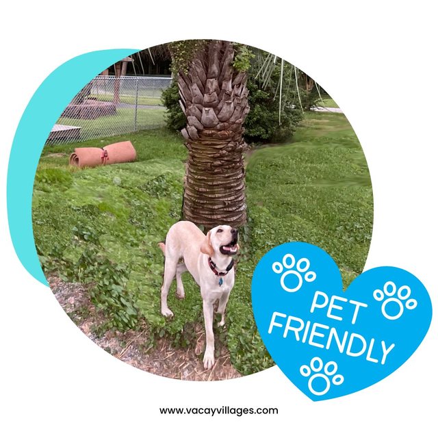 290892188 163798519478617 315560600759869127 n Provide Pet Friendly rv park in Pensacola