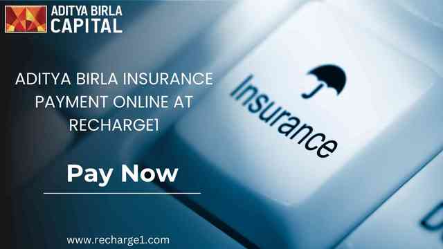 Adity Birla Insurance Payment Online Picture Box