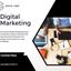 digital marketing 3 - Picture Box