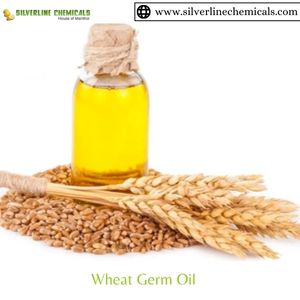 Wheat Germ Oil Wheat Germ Oil