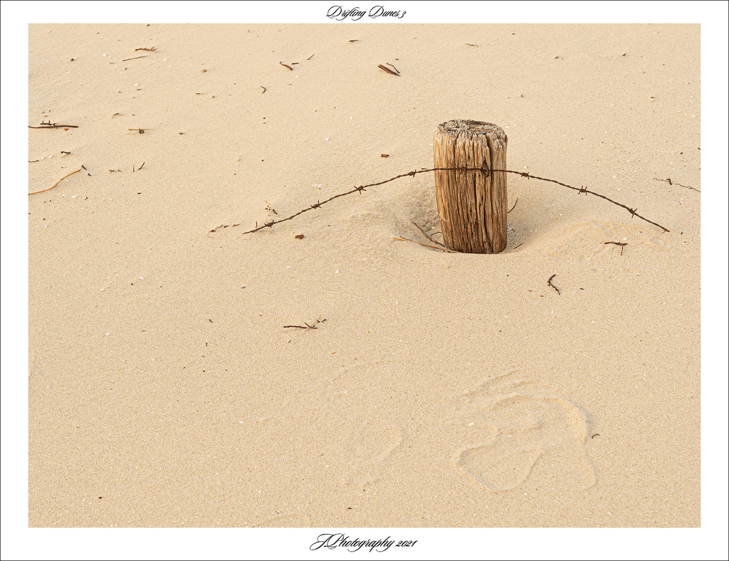  DSC2335 Drifting Dunes 3 - 