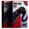 Cisco 200-901 Exam Dumps - Picture Box