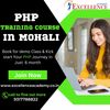 PHP Training Course in Mohali
