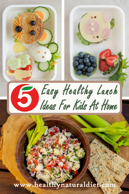 5 Easy Healthy Lunch Ideas for Kids (3) Picture Box