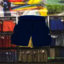 Cargo Shorts - Picture Box