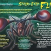 Stalk-Eyed Flies front - PLC pictures