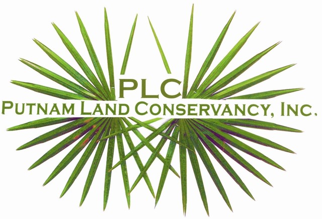 Big Logo PLC pictures