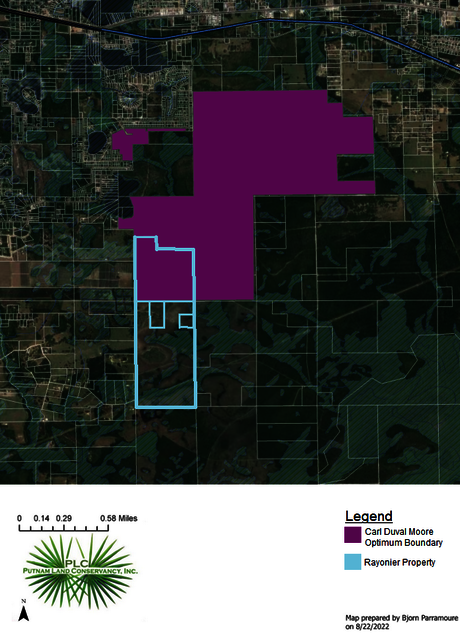 carl duval overlap rayonier PLC pictures