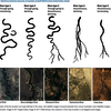 river types - PLC pictures