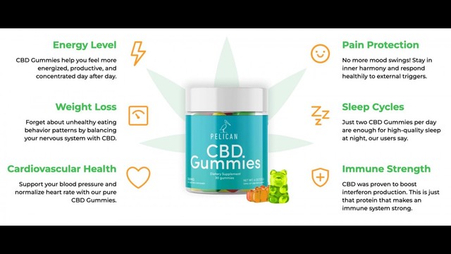 IMAGE 1669101581 What Is The Pelican CBD Gummies?