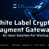 Crypto Payment Gateway Development