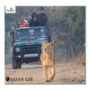 Best Resorts in Sasan Gir - Woodland Resort Sasan Gir