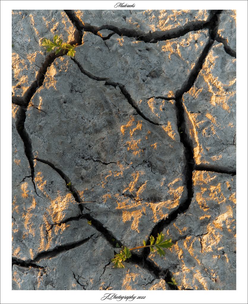  DSC3832 Mudcracks - 