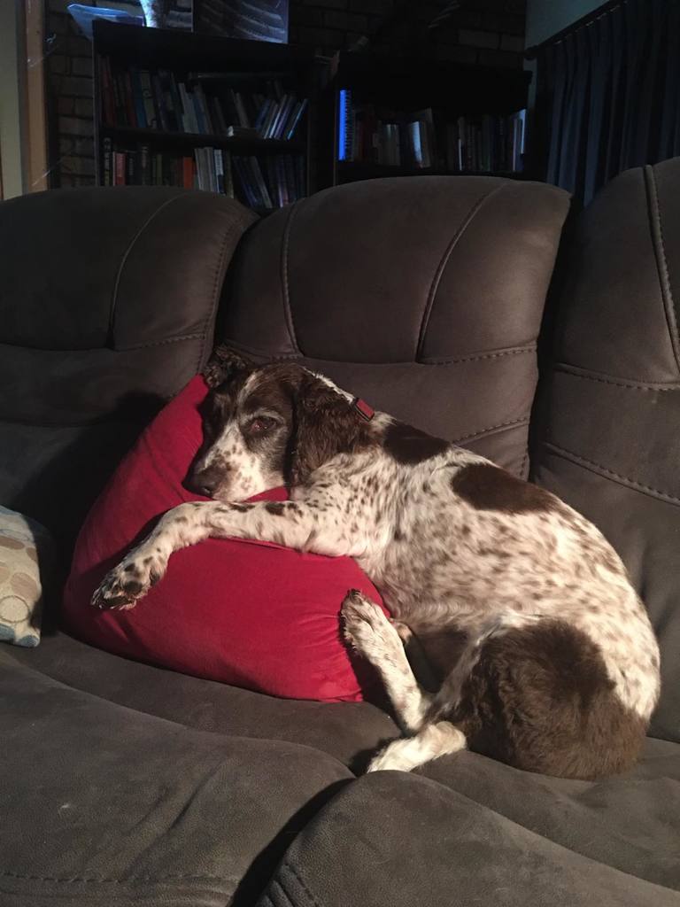 273883437 379749783969555 7109587447957400316 n - 