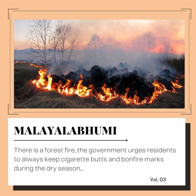 Orange Minimal Breaking News Day Instagram Post Picture Box