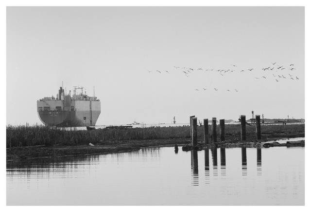 Steveston slide film Film photography