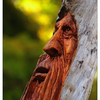 Old Carving 2022 - Comox Valley