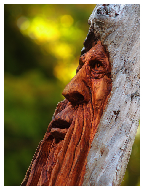 Old Carving 2022 Comox Valley