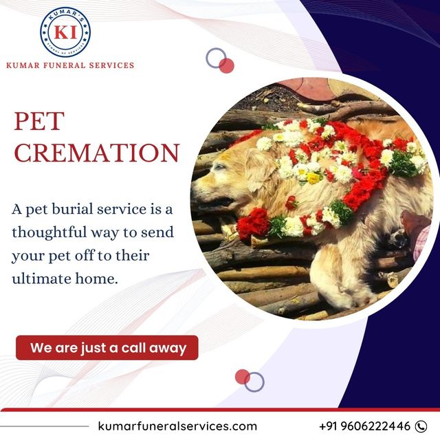 Pet Cremation Services Kumar Funeral Service