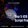 Top 5 ICO Script Providers - Zarawill