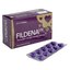 fildena-tablets-100mg - Buy Fildena Online at Cheap Prices | Medicros.