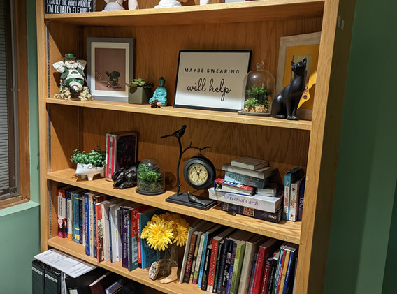 Mental Health Counselor Picture Box