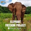 Chiang Mai - Elephant Freedom Project