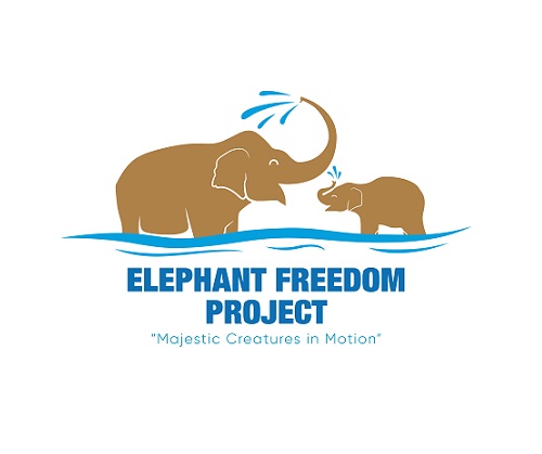 Elephant Freedom Trans Logo Elephant Freedom Project