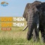 Elephant Freedom - Elephant Freedom Project