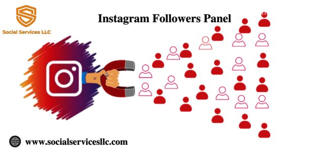 Instagram followers panel Picture Box