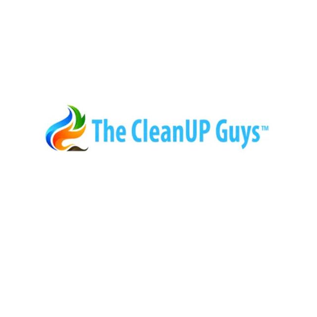 The CleanUP Guys The CleanUP Guys