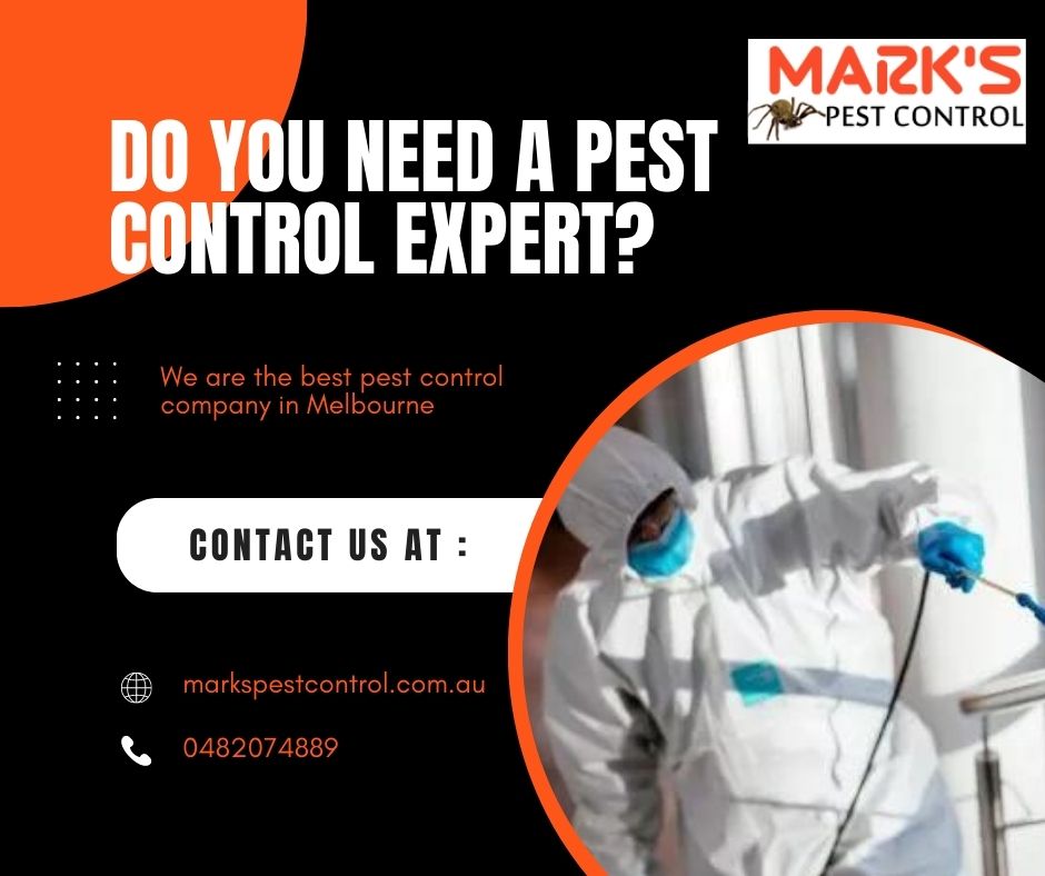 Pest Control Tooradin Marks Pest Control