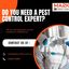 Pest Control Tooradin - Marks Pest Control