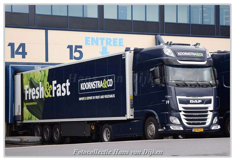 Koornstra 04-BLV-9(0)-BorderMaker - 