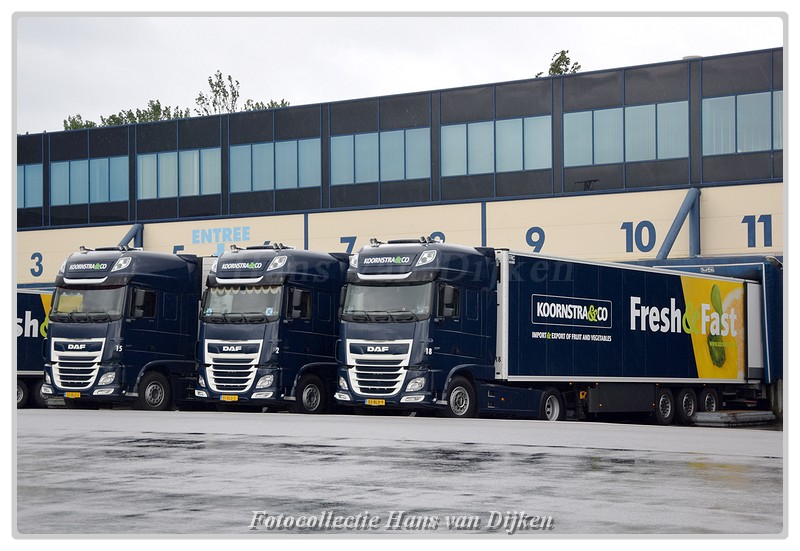 Line-up Koornstra 50-BLS-2&51-BLS-2&03-BLV-9-Borde - 