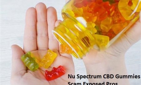Picture1-1171029-1670849815 full spectrum cbd Gummies
