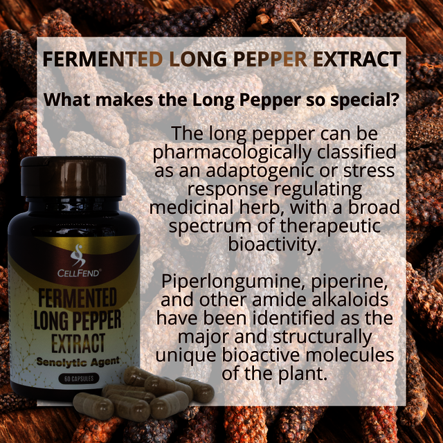 What makes the Long Pepper so special Cellfend