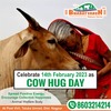 Happy Cow Day - BharatVarsh Nature Farms