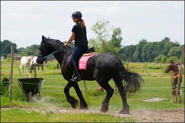 14 foto's Wil juli 2022 deel 1