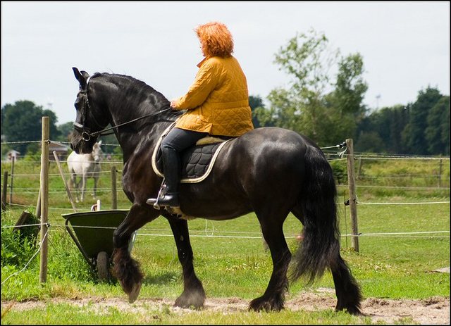 22 foto's Wil juli 2022 deel 1