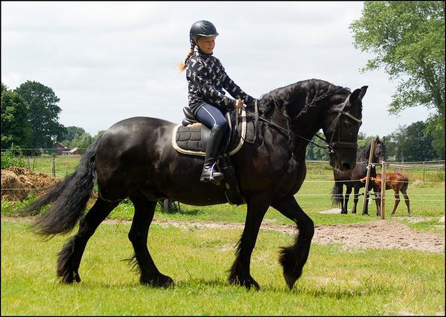 55 foto's Wil juli 2022 deel 1