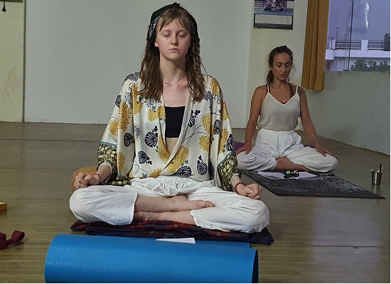 yoga-and-astrology-course 500 Hour Yoga Teacher Training: Sri Yoga Ashram Rishikesh