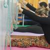 500 Hour Yoga Teacher Training: Sri Yoga Ashram Rishikesh