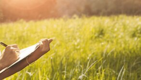 oklahoma cabins Picture Box