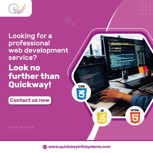 Web Development Company Picture Box