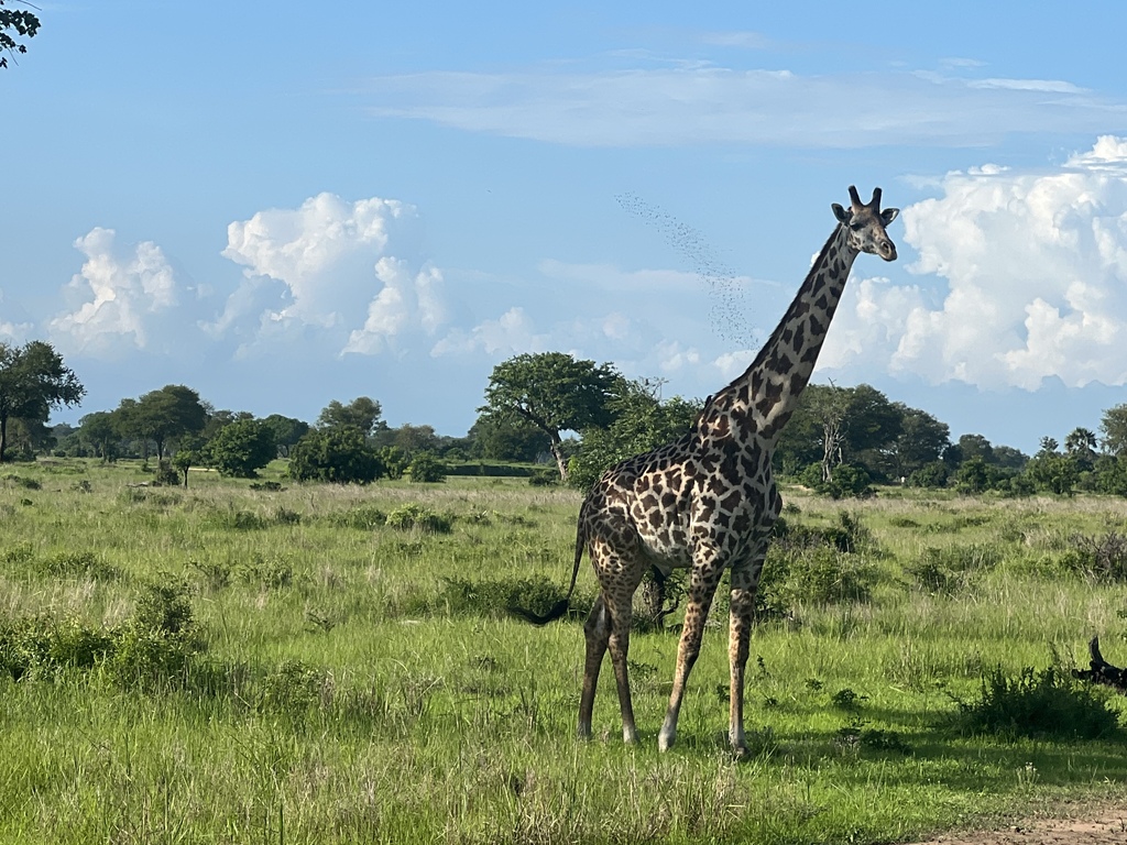 81E13018-F0E0-4C66-87DC-E5776AB0F2D9 - 13 07 02