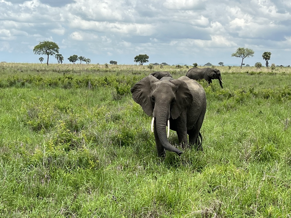 0CA3BE53-96FE-4D52-8E1F-E301DF2A2F25 - 13 07 02